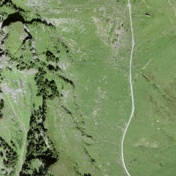Satellite imagery of Burg, CH