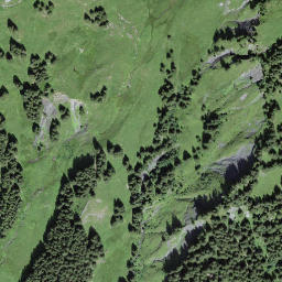 Satellite imagery of Stepfihubel, CH