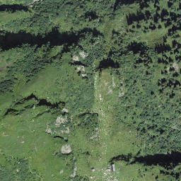 Satellite imagery of Falzenegg, CH