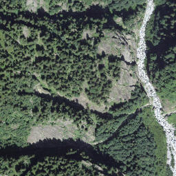 Satellite imagery of Falzenegg, CH
