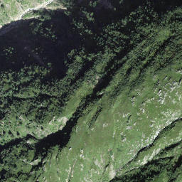 Satellite imagery of Flieliegg, CH