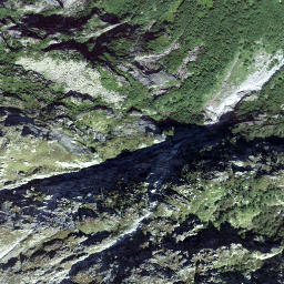 Satellite imagery of Moosstock, CH