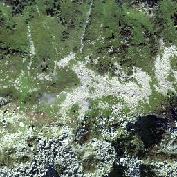 Satellite imagery of Spitzi, CH