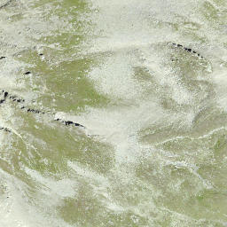 Satellite imagery of Piz Tgietschen, CH