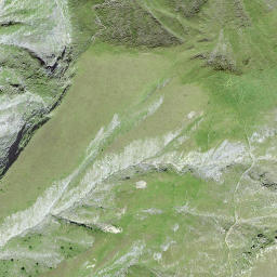 Satellite imagery of Piz Regina, CH