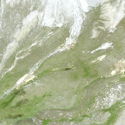 Satellite imagery of Piz Cotschen, CH