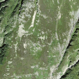 Satellite imagery of Flieliegg, CH