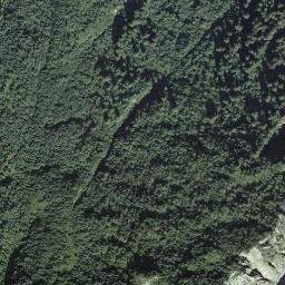 Satellite imagery of Ritzlisegg, CH