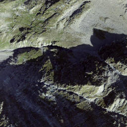 Satellite imagery of Fuorcla Cotschna, CH