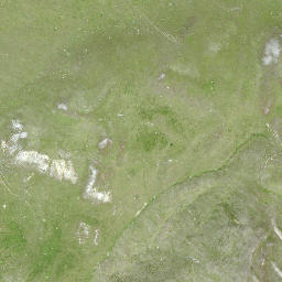 Satellite imagery of Minschuns, CH