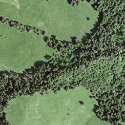 Satellite imagery of Vanil des Cours, CH