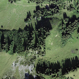 Satellite imagery of Holzerhore, CH