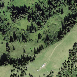 Satellite imagery of Holzerhore, CH