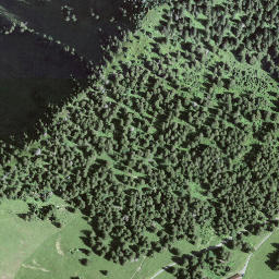 Satellite imagery of Därliggrat, CH