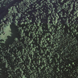 Satellite imagery of Schwarzhore, CH