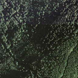 Satellite imagery of Schwarzhore, CH