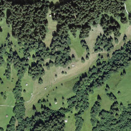 Satellite imagery of Wandelenhubel, CH