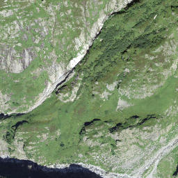 Satellite imagery of Flieliegg, CH