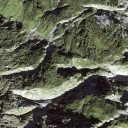 Satellite imagery of Piz Miezdi, CH