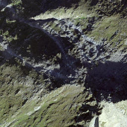 Satellite imagery of Piz las Palas, CH