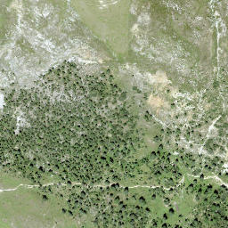 Satellite imagery of Döss dals Jals, CH