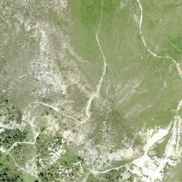 Satellite imagery of Minschuns, CH