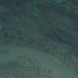 Satellite imagery of Goose Point, US