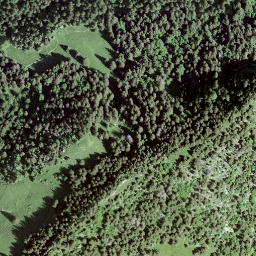 Satellite imagery of Vanil des Cours, CH