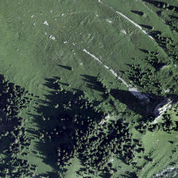 Satellite imagery of Patraflon, CH