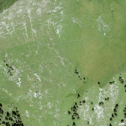 Satellite imagery of Trimlenhorn, CH