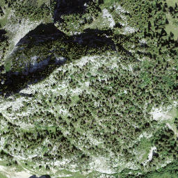 Satellite imagery of Holzerhore, CH