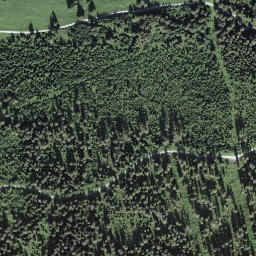 Satellite imagery of Pfaffehürleni, CH