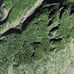 Satellite imagery of Netzrichtiegg, CH