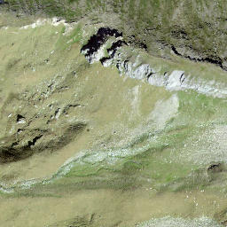Satellite imagery of Schijen, CH