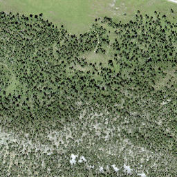Satellite imagery of Döss dals Jals, CH