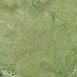 Satellite imagery of Minschuns, CH