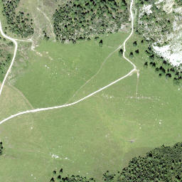 Satellite imagery of Champatsch, CH