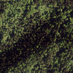 Satellite imagery of Radelj, AT