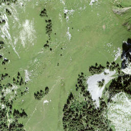 Satellite imagery of Trimlenhorn, CH