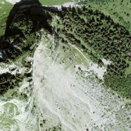 Satellite imagery of Holzerhore, CH