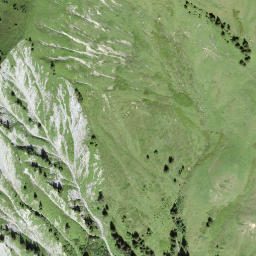 Satellite imagery of Niesegrat, CH