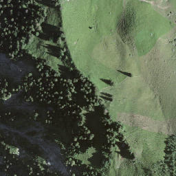 Satellite imagery of Gross-Schiffli, CH