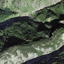Satellite imagery of Netzrichtiegg, CH