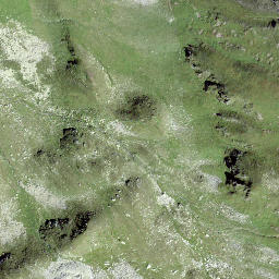 Satellite imagery of Ils Cotschens, CH