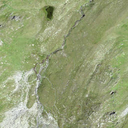 Satellite imagery of Ils Cotschens, CH