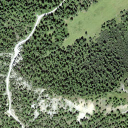 Satellite imagery of Champatsch, CH