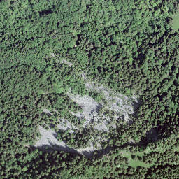 Satellite imagery of Mont Bifé, CH