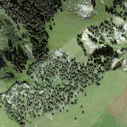 Satellite imagery of Pfaffe, CH