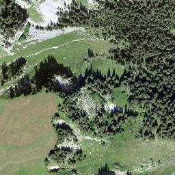 Satellite imagery of Pfaffe, CH
