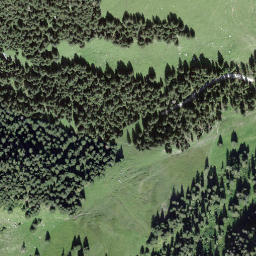 Satellite imagery of Pfaffehürleni, CH